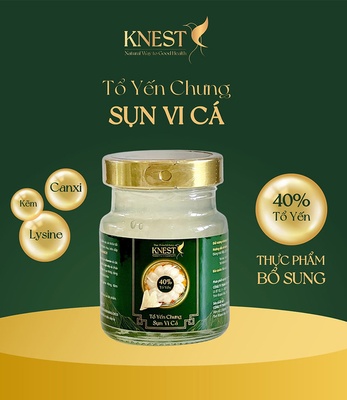 Tổ yến chưng Sụn vi cá KNEST