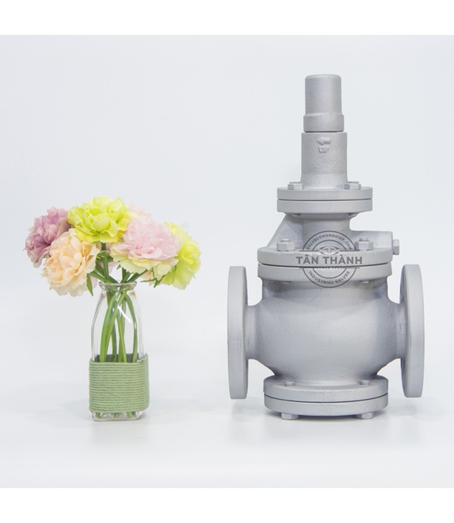 Van giảm áp gang Pilot RDP-1F YooYoun