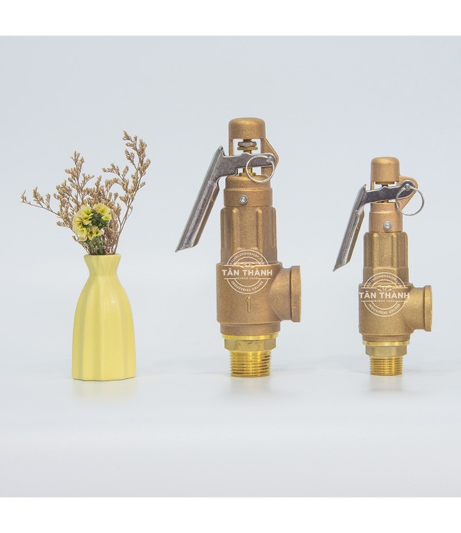 Van an toàn đồng L3-L 10kg