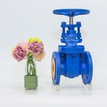 VAN CỬA GANG TY CHÌM NỐI BÍCH PN16 JOEUN