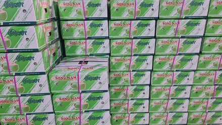 Fresh Young Coconuts - Song Nam ITD
