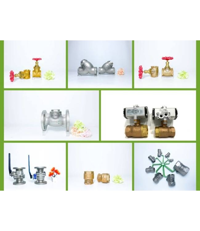 Van Kitz Nhật Bản