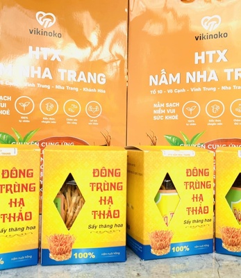 Đông trùng hạ thảo sấy thăng hoa cao cấp