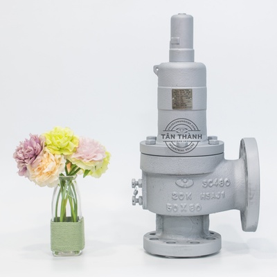 Van an toàn thép SFF-2F YooYoun