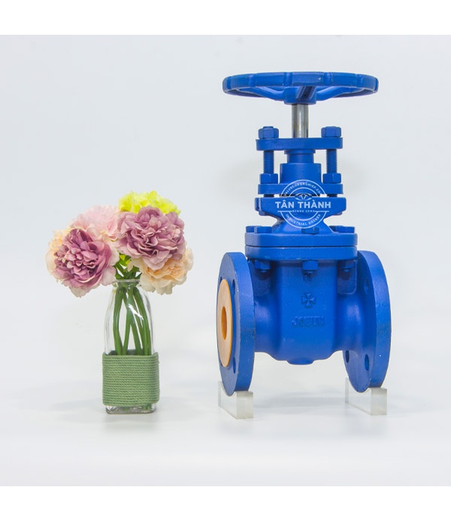 VAN CỬA GANG TY CHÌM NỐI BÍCH PN16 JOEUN