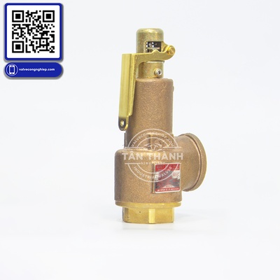 Van an toàn Safety Valve – Thiết bị bảo vệ áp suất quan trọng trong hệ thống công nghiệp | Tân Thành