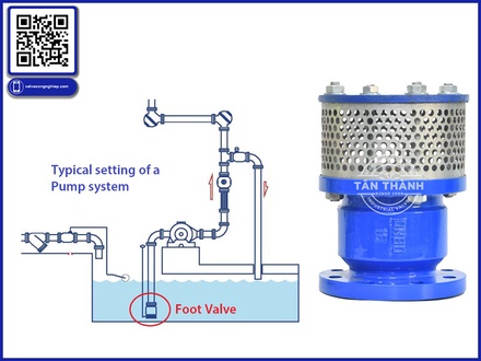Review chuyên sâu rọ bơm Foot Valve tại Tân Thành – Góc nhìn kỹ 