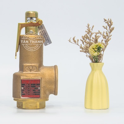 Van an toàn đồng SFL-S1 YooYoun