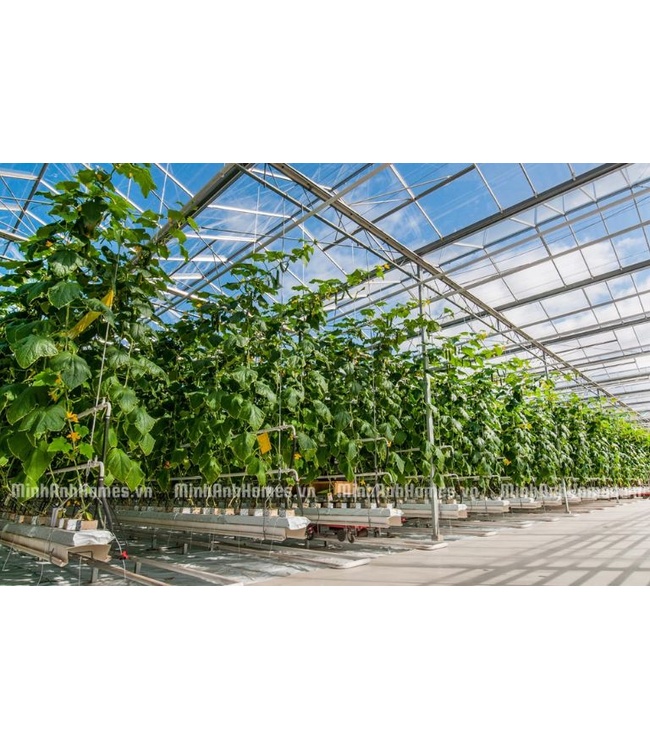 Tấm Poly Super Star