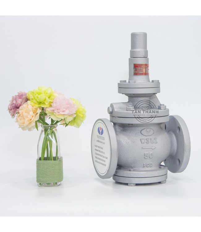 Van giảm áp gang Pilot RDP-1F YooYoun