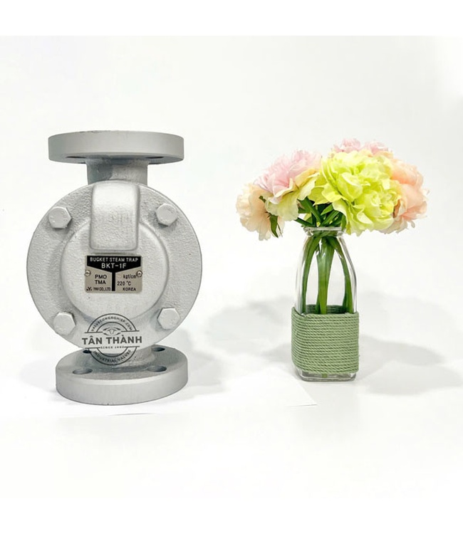 Bẫy hơi phao gang BKT-1F YNV