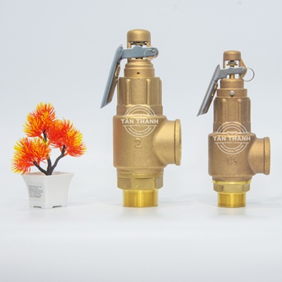 Van an toàn đồng L3-L 20kg