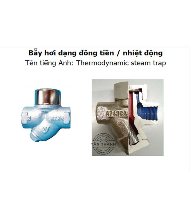 Bẫy hơi đồng tiền Thermodynamic Steam Trap