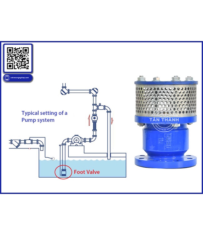 Review chuyên sâu rọ bơm Foot Valve tại Tân Thành – Góc nhìn kỹ 