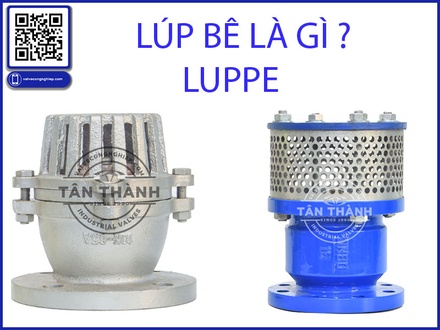 Lúp Bê Rọ Bơm (Foot Valve) Là Gì? Cấu Tạo, Nguyên Lý Hoạt Động Và Cách Chọn Mua Chuẩn Chuyên Gia