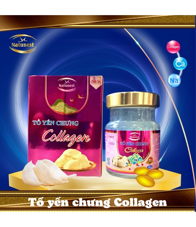 Yến sào chưng Collagen