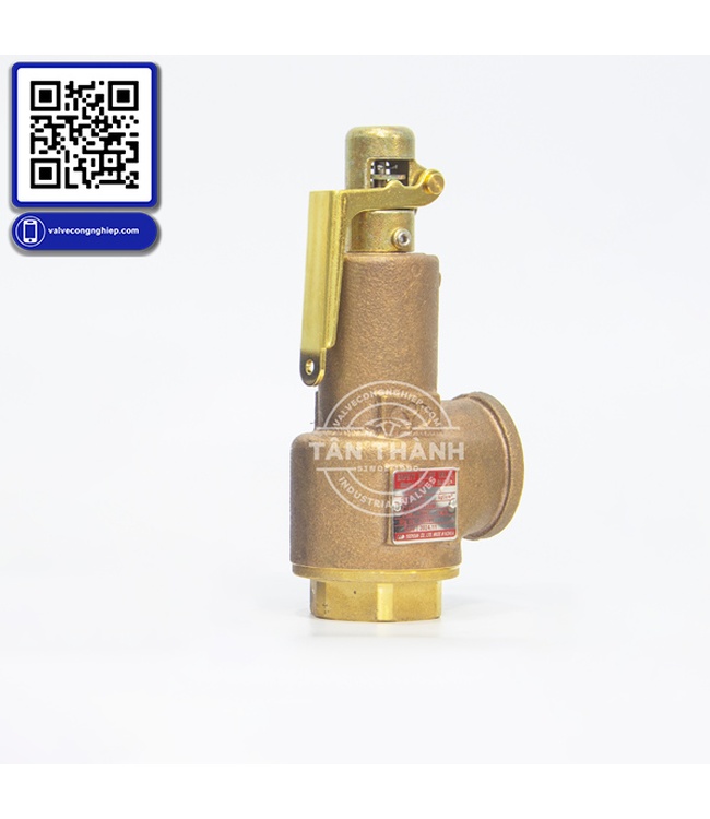 Van an toàn Safety Valve – Thiết bị bảo vệ áp suất quan trọng trong hệ thống công nghiệp | Tân Thành