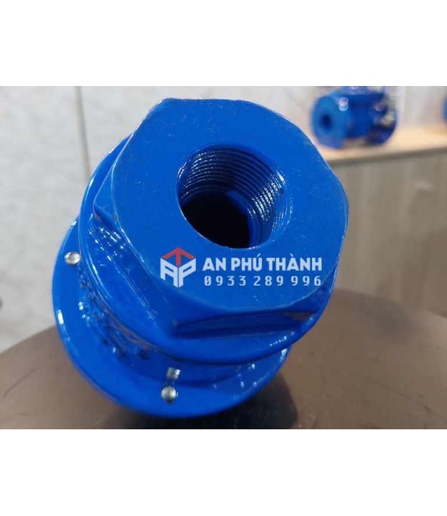 Van Xả Khí Ren Gang DN15, DN50