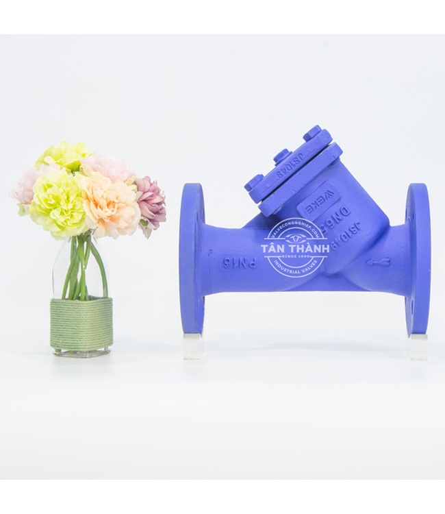 Y lọc nối bích PN16 WEKE