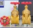 Van Cửa Đồng (Bronze Gate Valve) Tại Tân Thành – Giải Pháp Van Công Nghiệp Ổn Định & Bền Bỉ