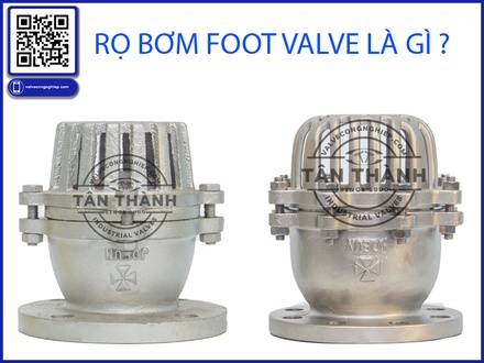 Review chuyên sâu rọ bơm Foot Valve tại Tân Thành – Góc nhìn kỹ 