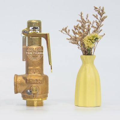 Van an toàn đồng SFL-S1 YooYoun