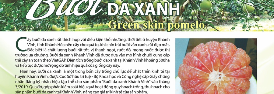 SẢN PHẨM OCOP KHÁNH HÒA 3