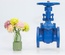 VAN CỬA GANG TY NỔI NỐI BÍCH PN16 JOEUN