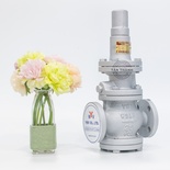 Van giảm áp gang JIS10K PIR-1F YNV