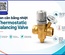 Van cân bằng nhiệt là gì? Cấu tạo, nguyên lý hoạt động và ứng dụng trong hệ thống đường ống