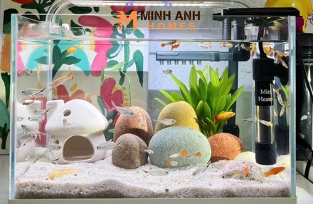 Vách ngăn hồ cá Mica