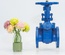 VAN CỬA GANG TY NỔI NỐI BÍCH PN16 JOEUN
