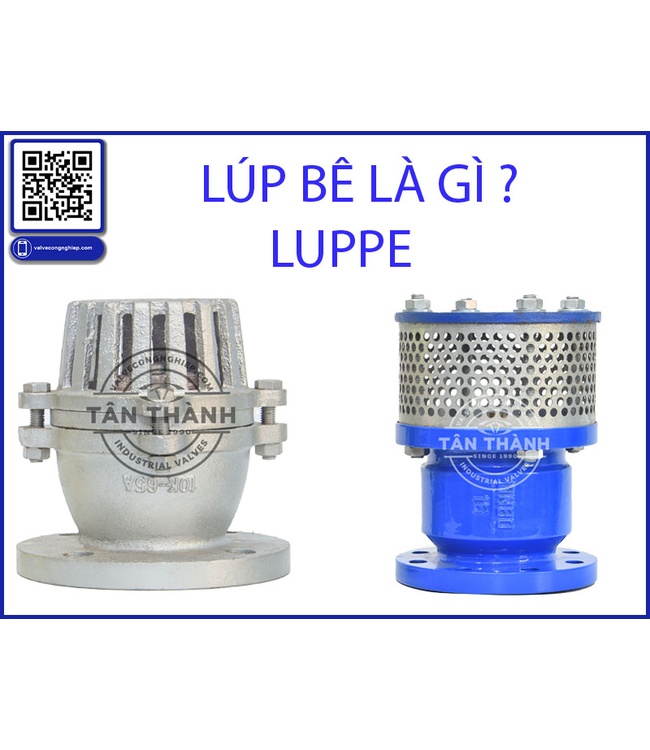 Lúp Bê Rọ Bơm (Foot Valve) Là Gì? Cấu Tạo, Nguyên Lý Hoạt Động Và Cách Chọn Mua Chuẩn Chuyên Gia