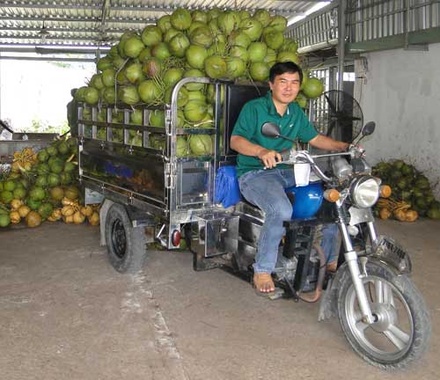 Fresh Young Coconuts - Song Nam ITD