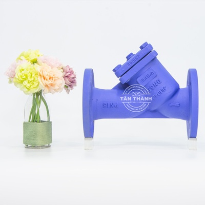 Y lọc nối bích PN16 WEKE