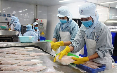 BẢN TIN THỊ TRƯỜNG NÔNG, LÂM, THỦY SẢN SỐ RA NGÀY 10/6/2021