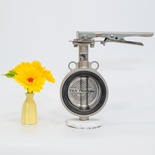 Van bướm Inox 304 tay gạt Joeun