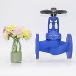 Van dầu nóng nối bích PN25 WEKE