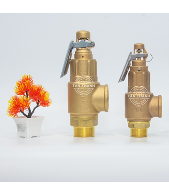 Van an toàn đồng L3-L 20kg