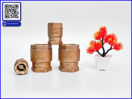 Van 1 chiều lò xo