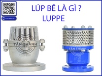 Lúp bê là gì? Vì sao thiết bị nhỏ này lại quyết định tuổi thọ của máy bơm?