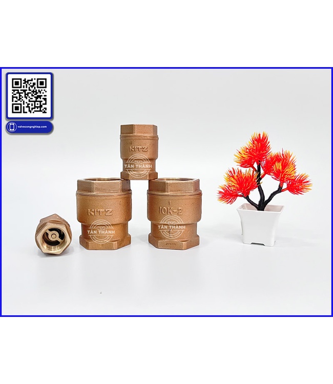 Van 1 chiều lò xo