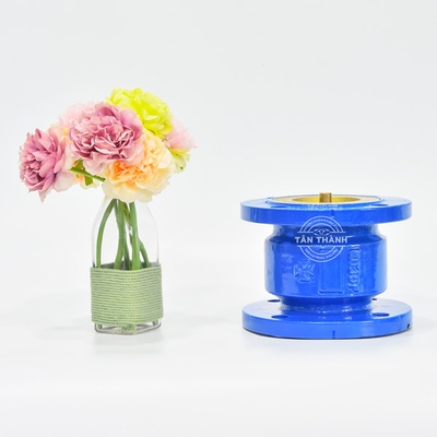 VAN 1 CHIỀU LÒ XO PN16 JOEUN