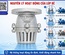 Lúp Bê Rọ Bơm (Foot Valve) Là Gì? Cấu Tạo, Nguyên Lý Hoạt Động Và Cách Chọn Mua Chuẩn Chuyên Gia