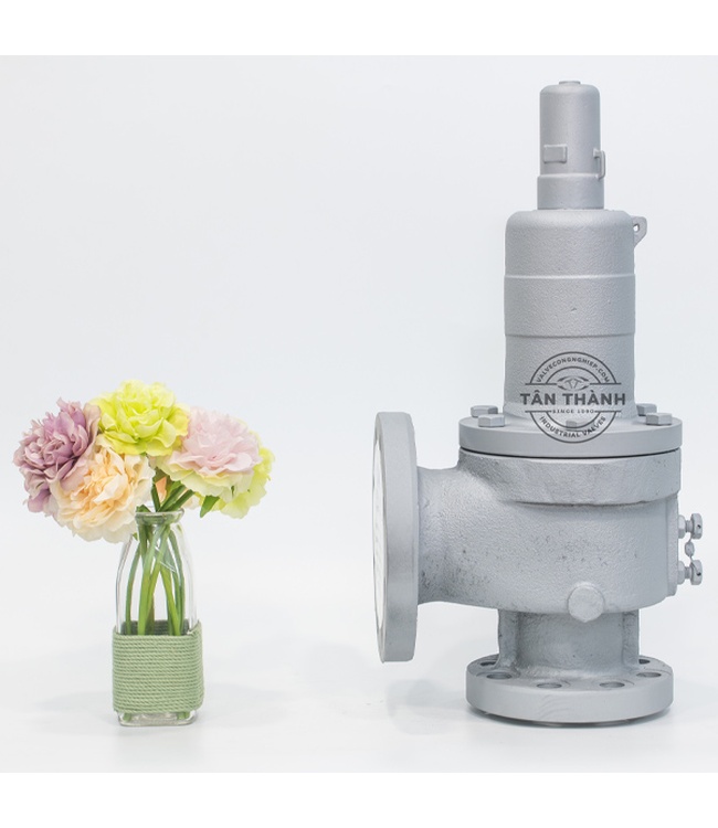 Van an toàn thép SFF-2F YooYoun