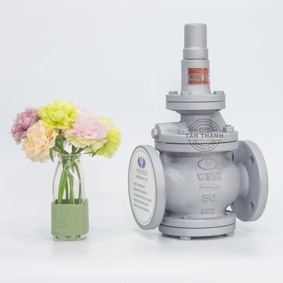 Van giảm áp gang Pilot RDP-1F YooYoun