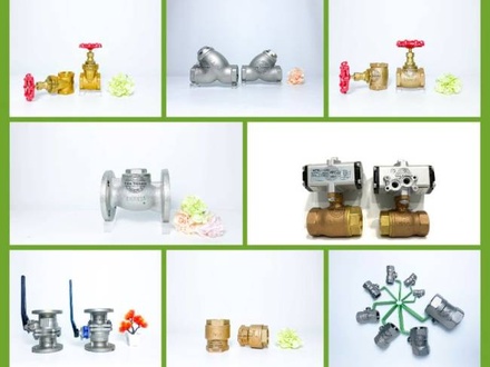 Van Kitz Nhật Bản