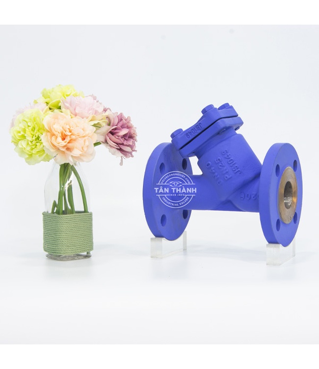 Y lọc nối bích PN25 WEKE