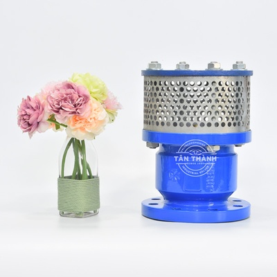 RỌ BƠM PN16 GANG ĐÚC JOEUN