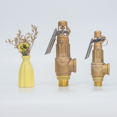 Van an toàn đồng L3-L 10kg